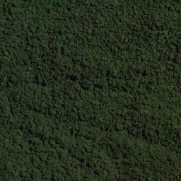 Satellite imagery of Alto del Roble, CO
