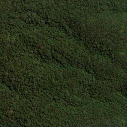 Satellite imagery of Alto del Roble, CO