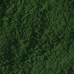 Satellite imagery of Cerro Pico de Águila, CO