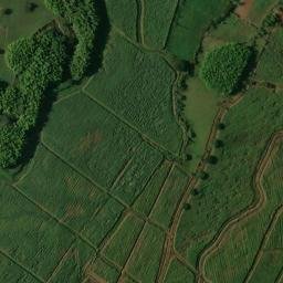 Satellite imagery of Loma Las Guacas, CO