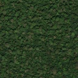 Satellite imagery of Etuinkom, CM