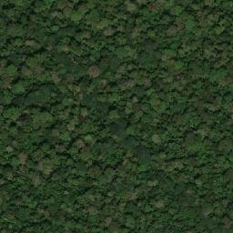 Satellite imagery of Etuinkom, CM