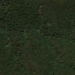 Satellite imagery of Cerro Triunfo, CO