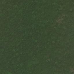 Satellite imagery of Ebolboum, CM