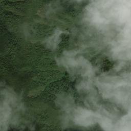 Satellite imagery of Cerro Buenavista, CO