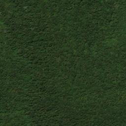 Satellite imagery of Cerro Bandera, CO