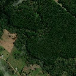 Satellite imagery of Loma La Laguna, CO