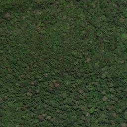 Satellite imagery of Ngoa, CM