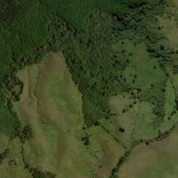 Satellite imagery of Cerro Munchique, CO