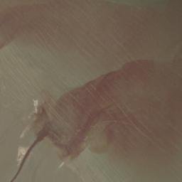 Satellite imagery of Tanjung Hantu, ID