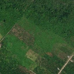 Satellite imagery of Tanjung Senapies, ID