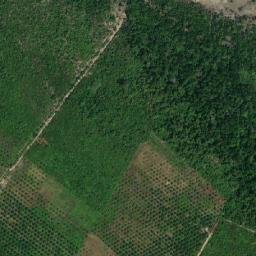 Satellite imagery of Tanjung Senapies, ID