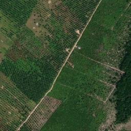 Satellite imagery of Tanjung Senapies, ID
