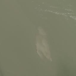 Satellite imagery of Tanjung Makeruh, ID
