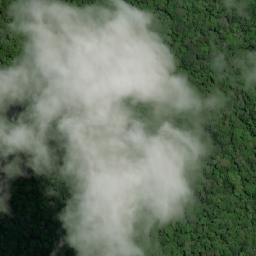 Satellite imagery of Tamanaiku Rock, GY