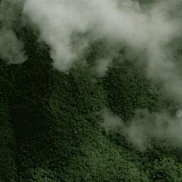 Satellite imagery of Cerro El Felino, CO