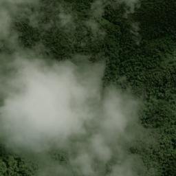 Satellite imagery of Cerro El Felino, CO