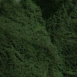 Satellite imagery of Cerro El Felino, CO