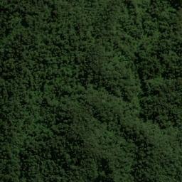 Satellite imagery of Cerro El Felino, CO