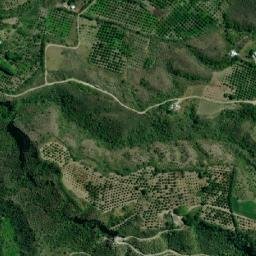 Satellite imagery of Loma Los Alisos, CO