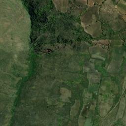 Satellite imagery of Cerro La Palma, CO