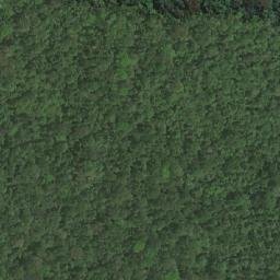 Satellite imagery of Pointe Uvinia, GA