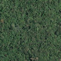 Satellite imagery of Pointe Cocobeach, GA