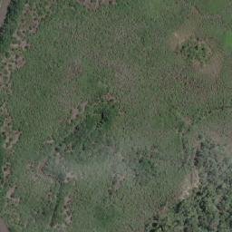 Satellite imagery of Pointe Cocobeach, GA