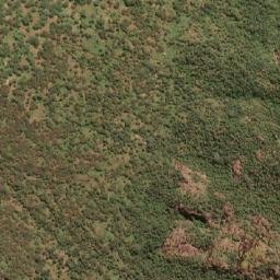 Satellite imagery of Peleta, KE