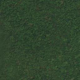 Satellite imagery of Pointe Nkogo, GA