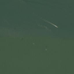 Satellite imagery of Pointe Ikana, GA