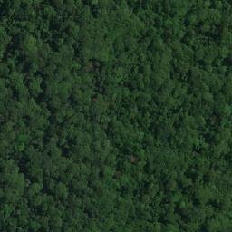 Satellite imagery of Pointe Goumbi, GA