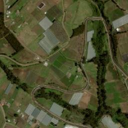 Satellite imagery of Árbol, EC