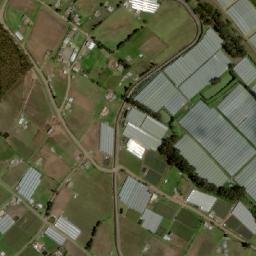 Satellite imagery of Árbol, EC