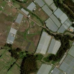 Satellite imagery of Árbol, EC