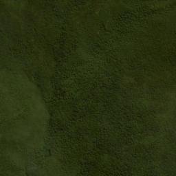Satellite imagery of Cerro Toaza, EC