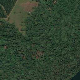 Satellite imagery of Banga Point, UG