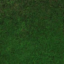 Satellite imagery of Cerro La Mora, EC