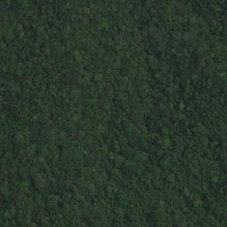Satellite imagery of Mont Bonga, CD