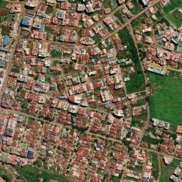 Satellite imagery of survey_point, TZ