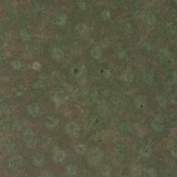 Satellite imagery of 1680610237, KE