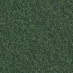 Satellite imagery of Pointe Pondimbo, GA