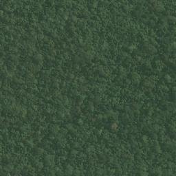 Satellite imagery of Pointe Pondimbo, GA
