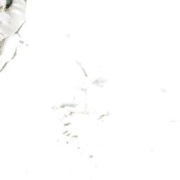 Satellite imagery of Chimborazo, EC