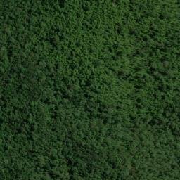 Satellite imagery of Cerro La Naranja, EC