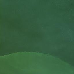 Satellite imagery of Efurifu Point, TZ