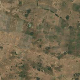 Satellite imagery of 1700610119, TZ