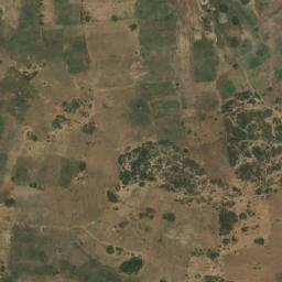 Satellite imagery of 1700610119, TZ