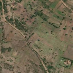 Satellite imagery of Ringwani, TZ