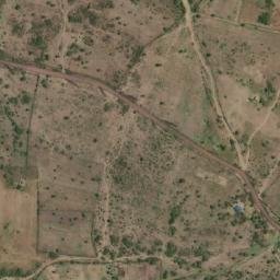 Satellite imagery of Ringwani, TZ